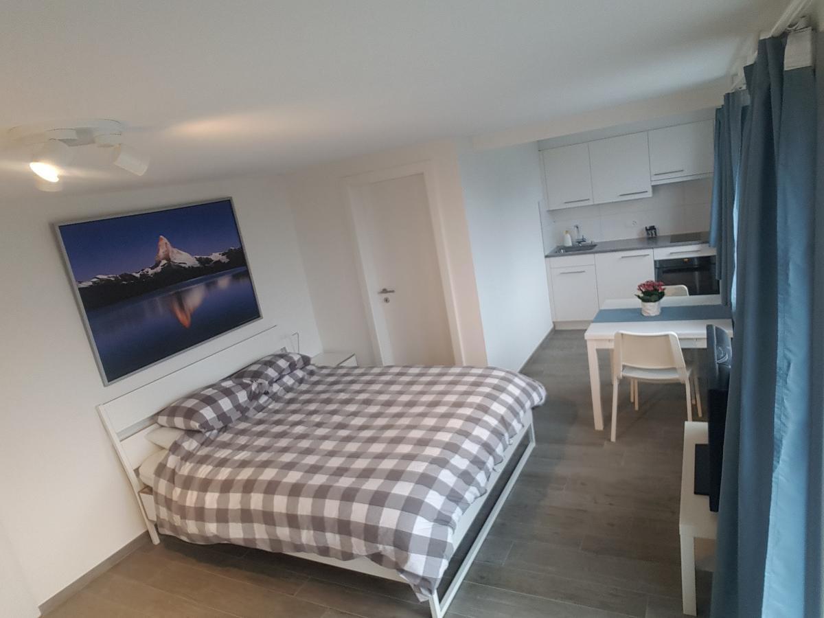Lake View Private Studio Richterswil Exterior foto