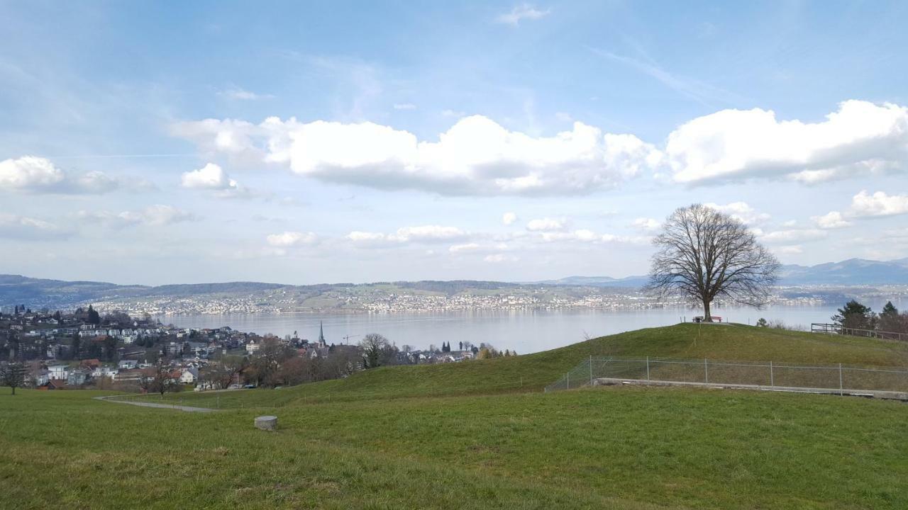 Lake View Private Studio Richterswil Exterior foto